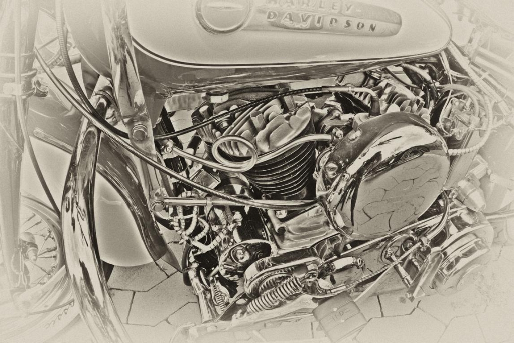 K1024_Harley.JPG