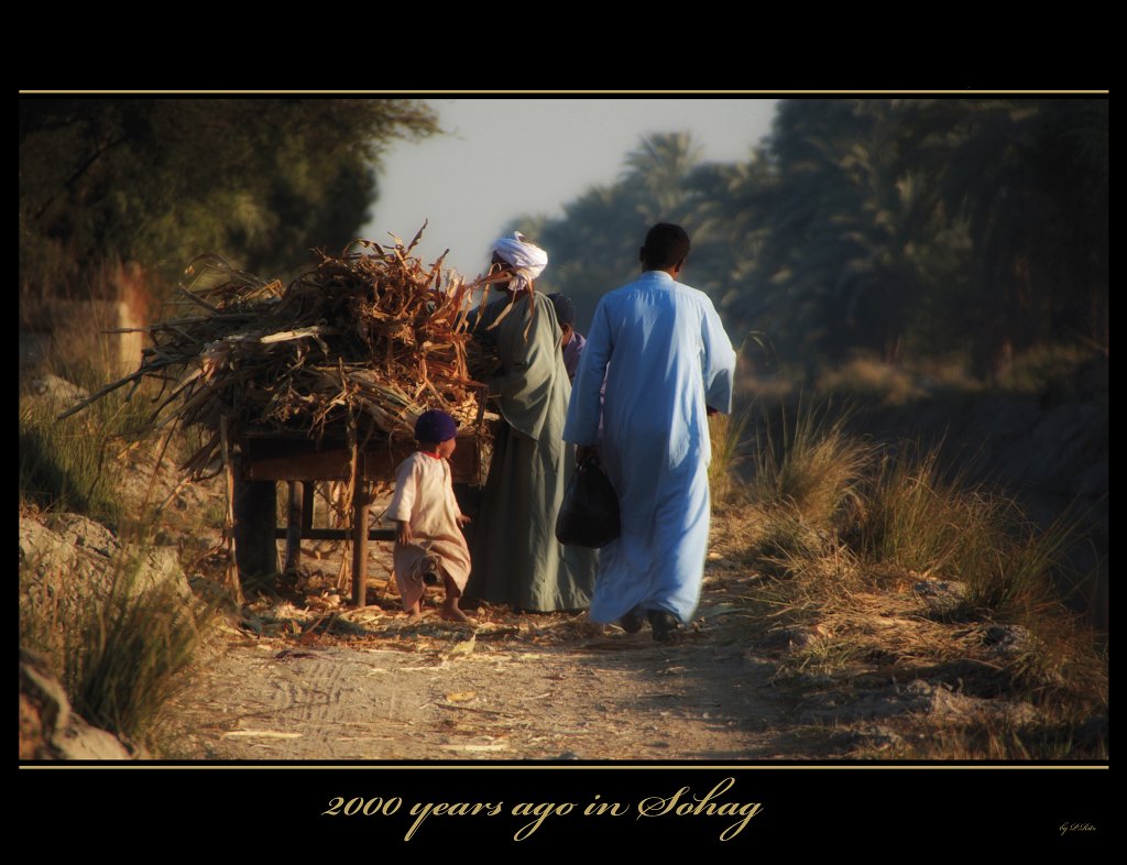 sohag.jpg