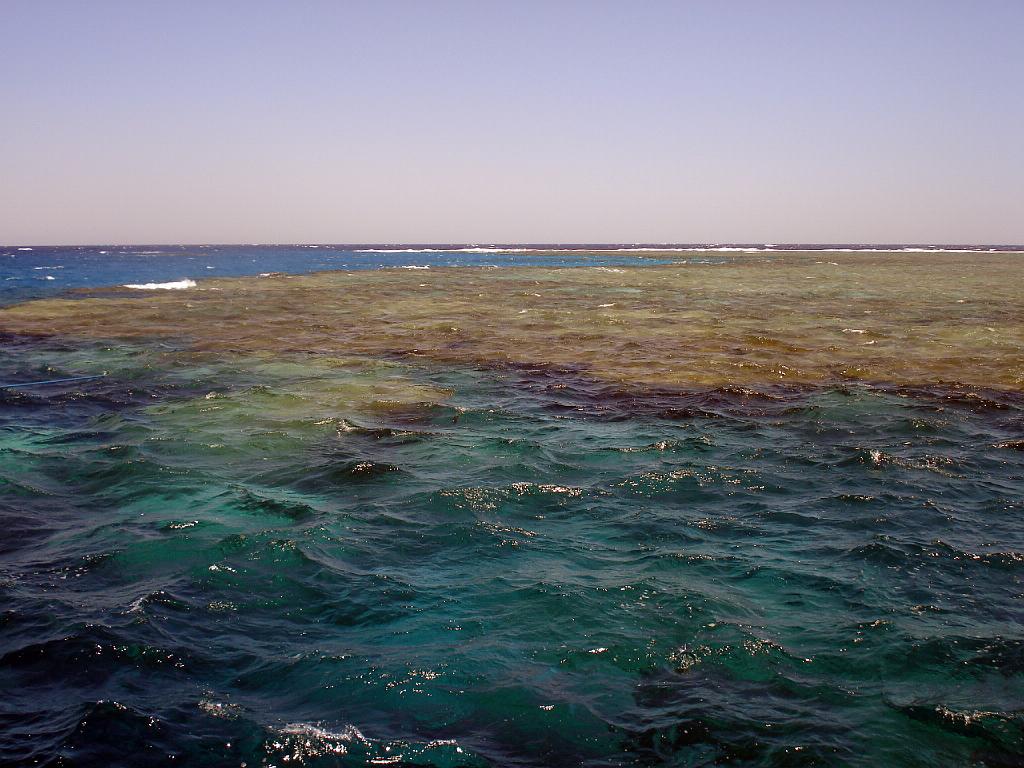 DSC07568.JPG