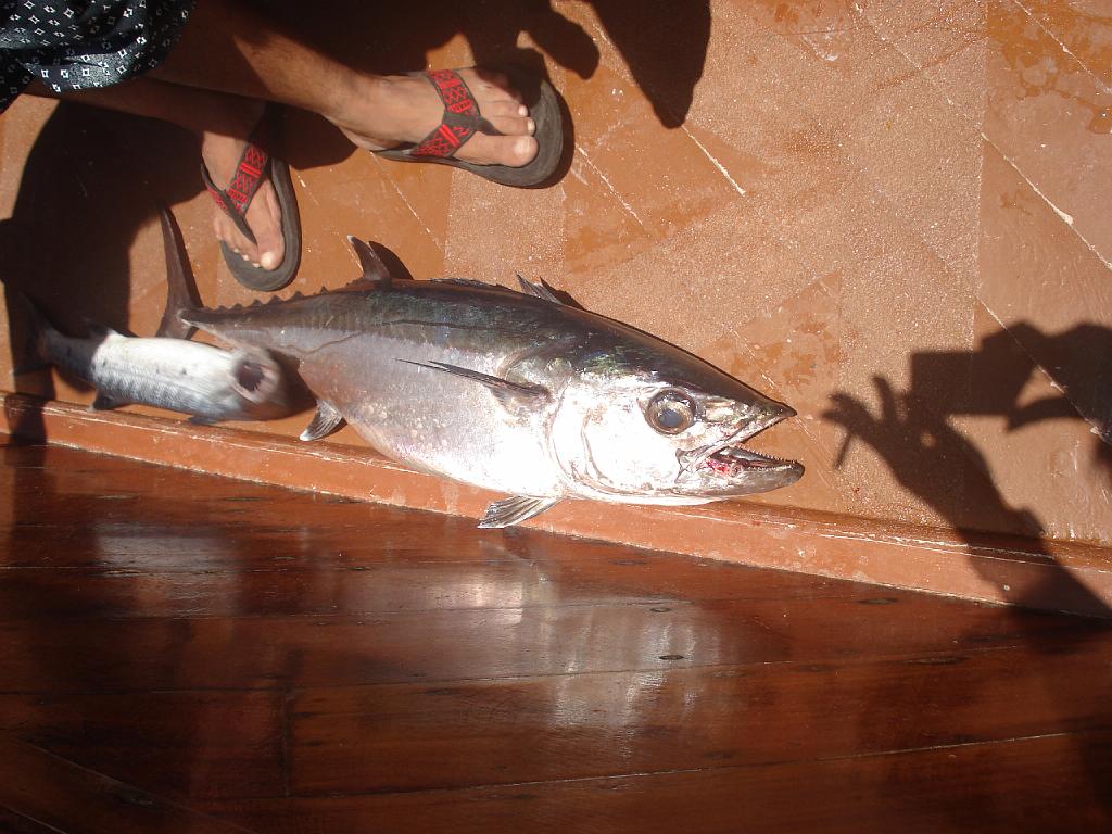 DSC07610.JPG