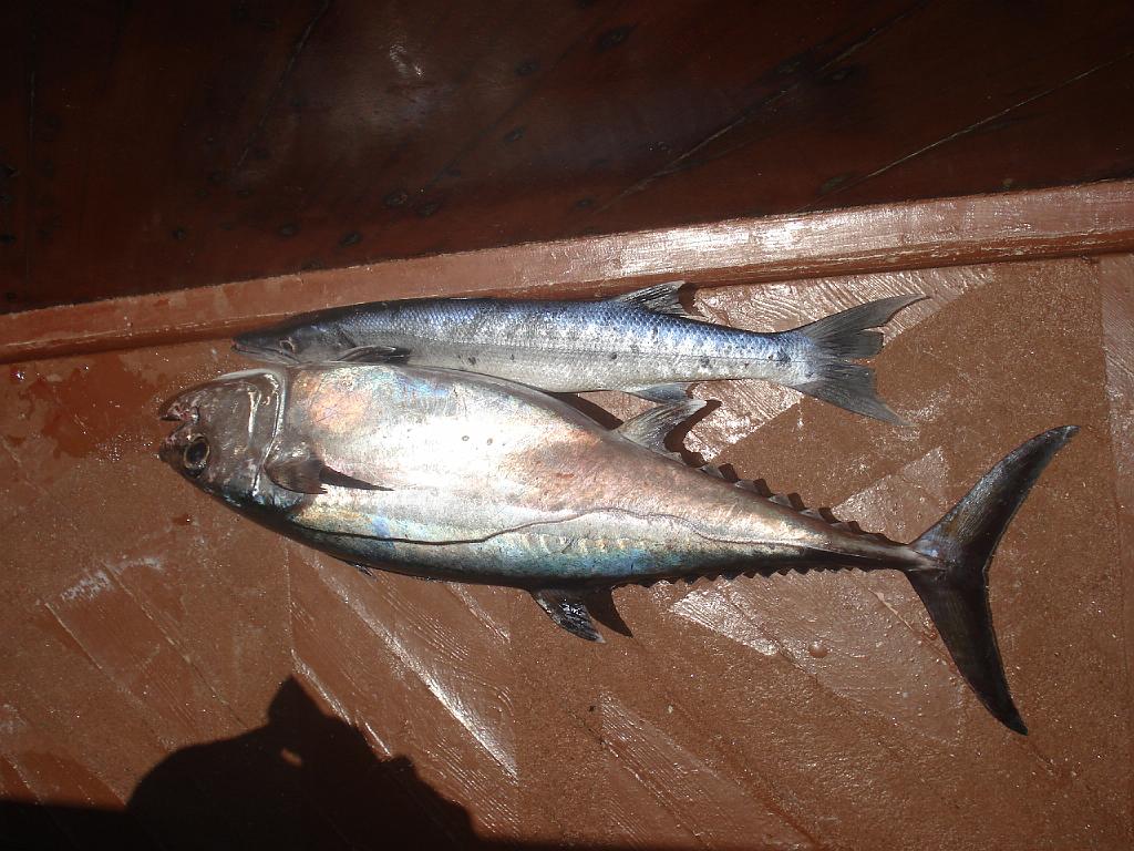 DSC07620.JPG