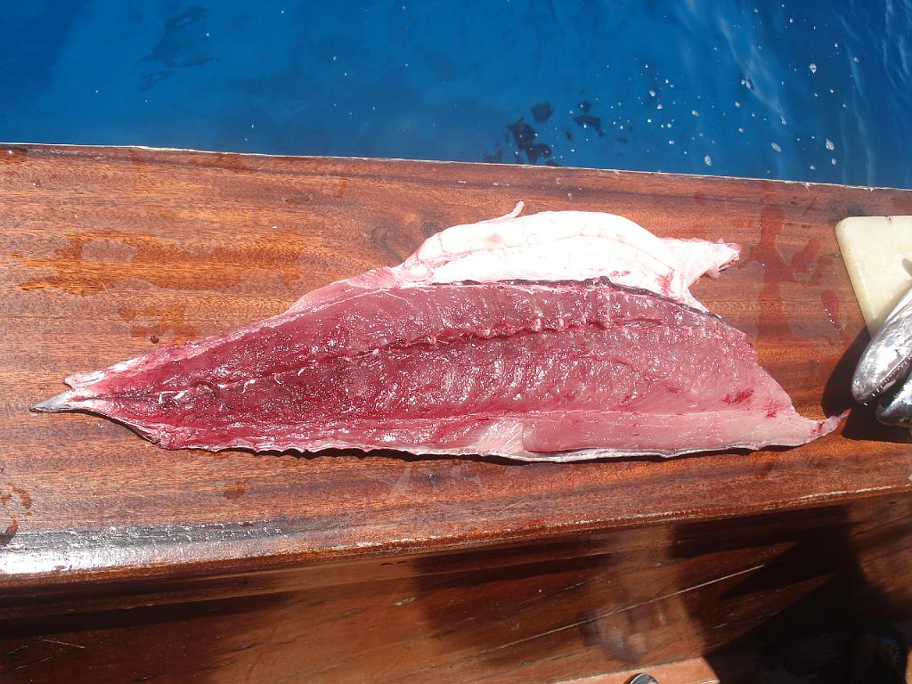 DSC07634.JPG