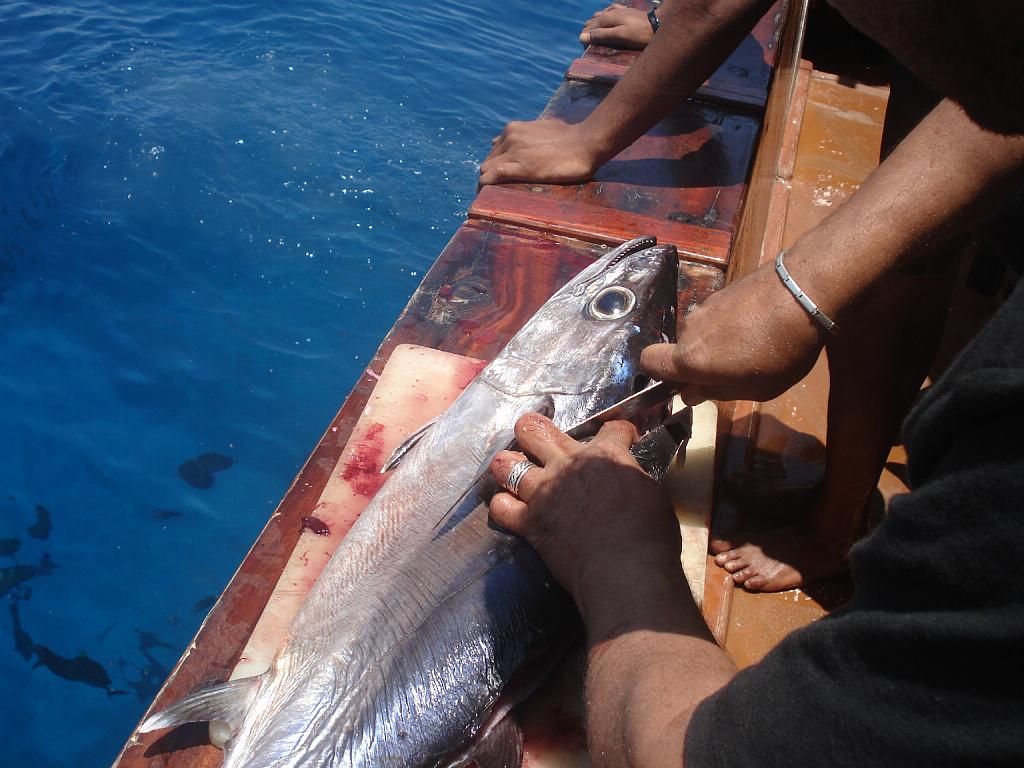 DSC07635.JPG