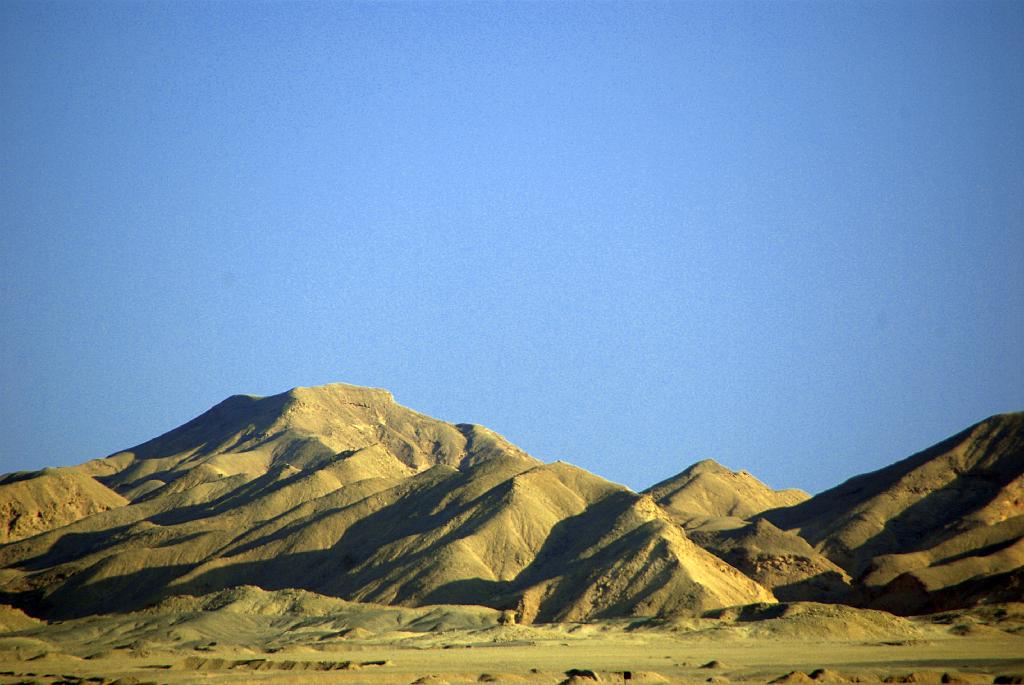 IMGP7869.JPG