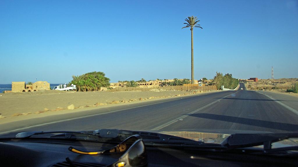 IMGP7872.JPG