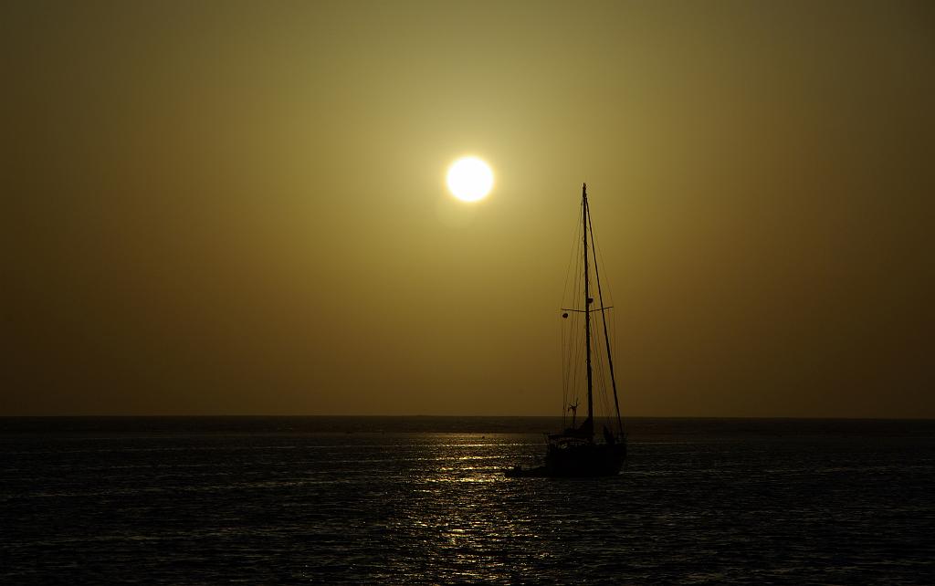 IMGP8554.JPG