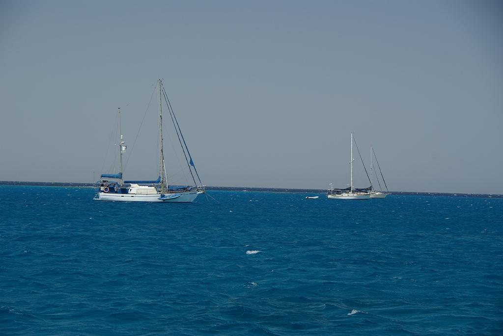 IMGP8604.JPG