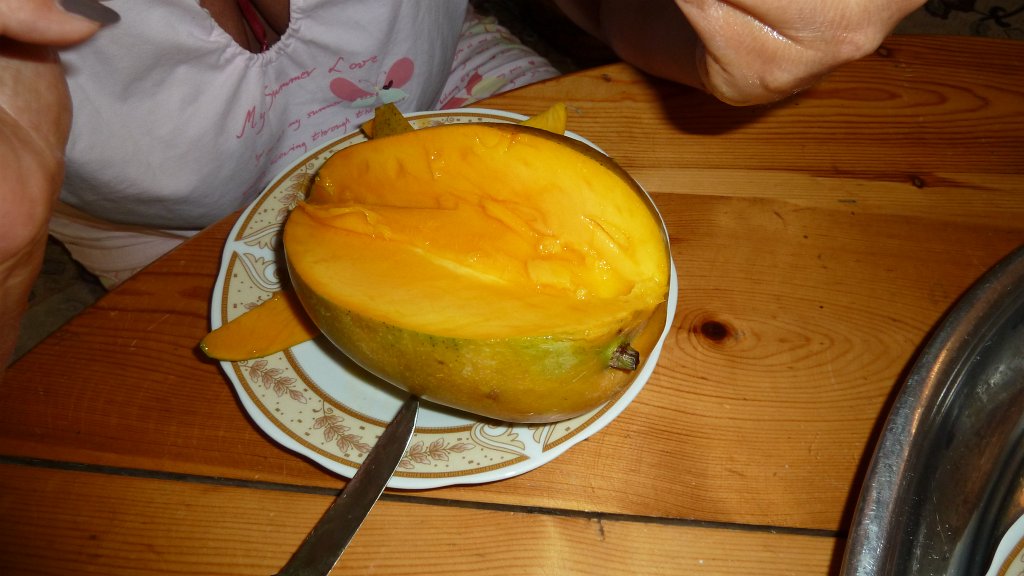 P1000392.JPG